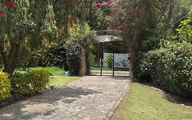 Finca Villa Patricia